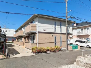 スターエイトの画像