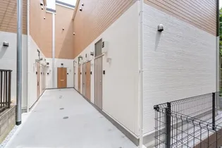 OJ HILLS FIRSTの画像