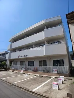 メゾンドティファニーの画像