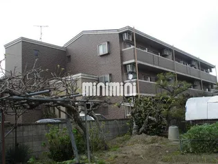 GRANDカメリアの画像