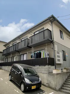 ディアスオオヤケの画像