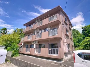 ハイネスぶどうの木の画像