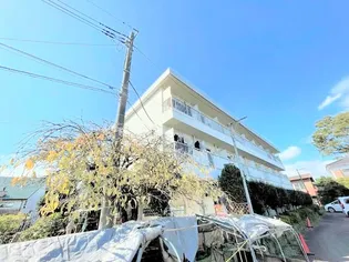 ビューラー三ヶ島パート2の画像