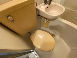 ダンディリオン松戸【2階】の内装