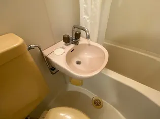 ダンディリオン松戸【2階】の内装