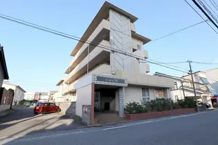 グレイスMの画像