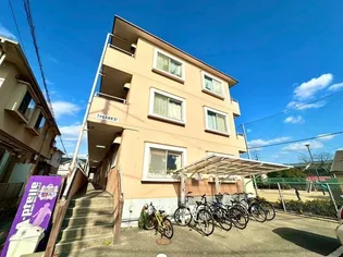 ファビス長束の画像