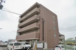 イリーデ ヴィオラの画像