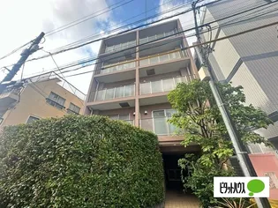 フローラルKの画像