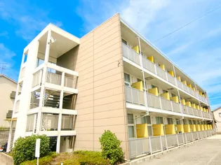 大阪府大阪市平野区平野東2【マンション】の外観