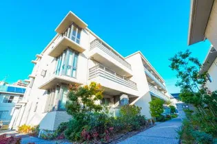 エテルナ Mの画像