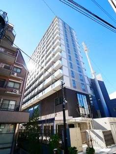 APOLLOの画像