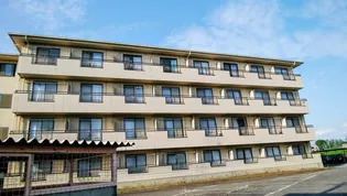 茨城県つくば市天久保4【マンション】の外観