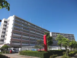 ダイヤカルムの画像
