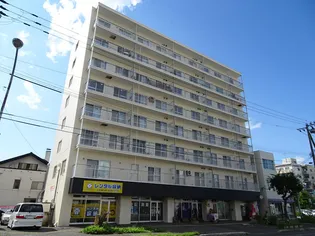 セクションの画像