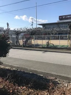 仲田ハイツ【2階】の周辺