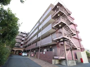 グランドパレスNS-6【3階】の外観