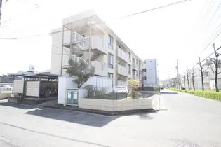 トリヴァンベール平山【3階】の外観