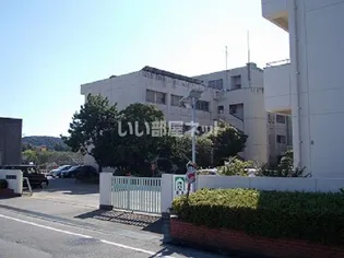 メゾン・テルシャトー B棟【2階】の周辺