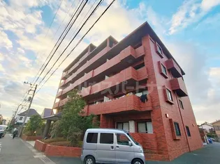 フローラルマキノの画像