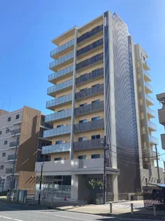 セラヴィの画像