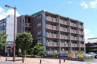 サンリバーの画像