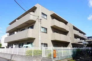 コスメルの画像