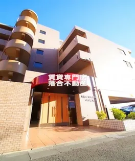 ケンブリッジアサカの画像