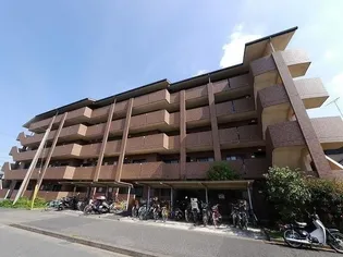 アティチヒロの画像