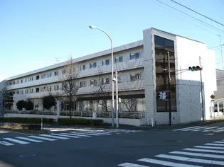 サウス テラ 66の画像