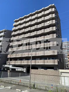 ルミエール八尾 Ⅱの画像