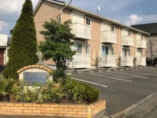 フォルトーナの画像