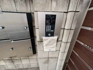 ソフィアエムズの画像