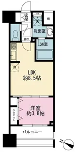 シティインデックス新宿若松町【8階】の間取り