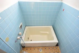 鈴木ハイツの風呂