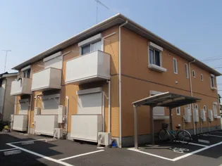 オレンヂコートの画像