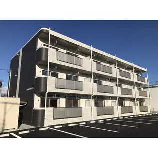 URBAN FOREST Tの画像