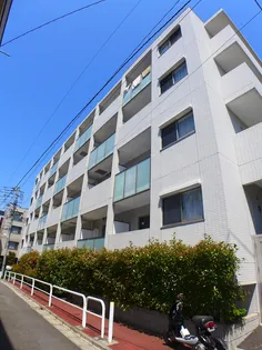 レヴィーガ大山の画像