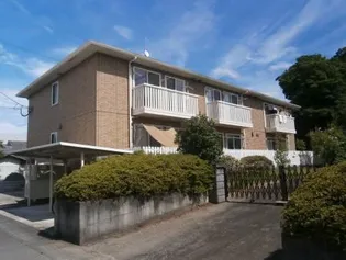 コルシェーヌの画像