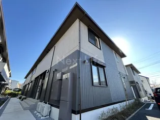 ソラーナ フェリスの画像