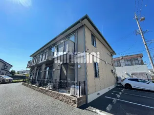 ミナミタウンスギの画像