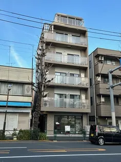 STELLA IIの画像