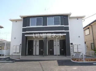 クリザンテームの画像