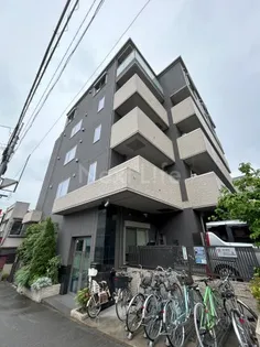 DL スカイショアの画像