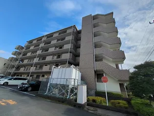 グラースマロニエの画像