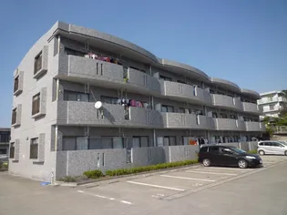 ノーマルビューの画像