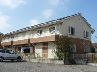 オリーブIIの画像