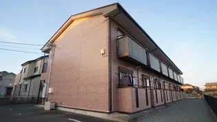 ドリームの画像