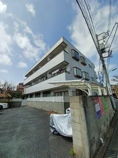 ローラ中央の画像