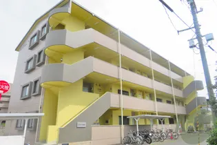 CITY手倉田の画像